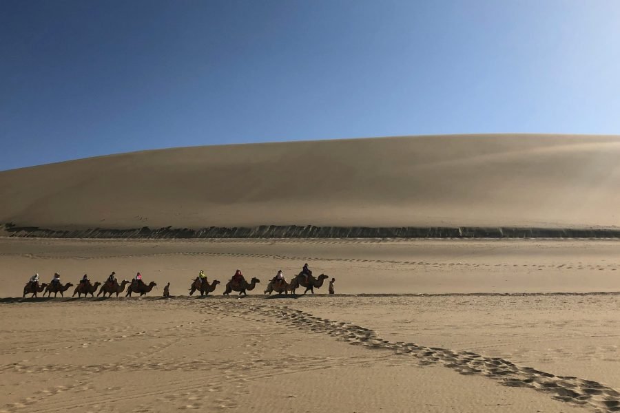 Camel caravan crossing wide dunes under the clear desert sky at Dunhuang.