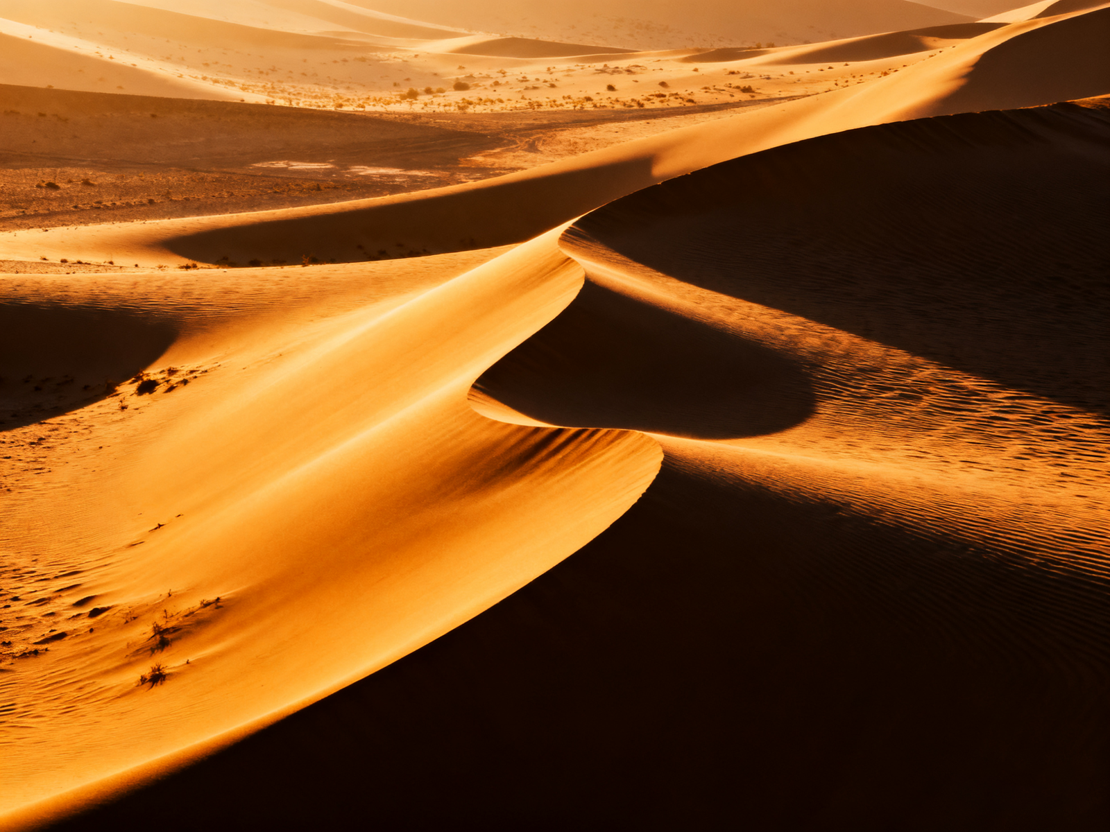 Curving dunes at Dunhuang’s Singing Sand; wind writes shifting scores across the surface.