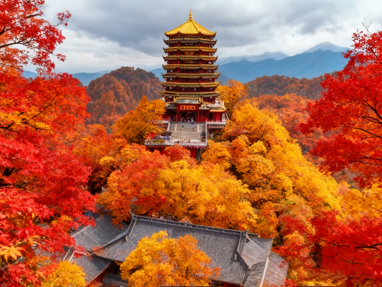 Deep shade on Qingcheng Mountain’s forest paths; soft bells and streams temper the air.