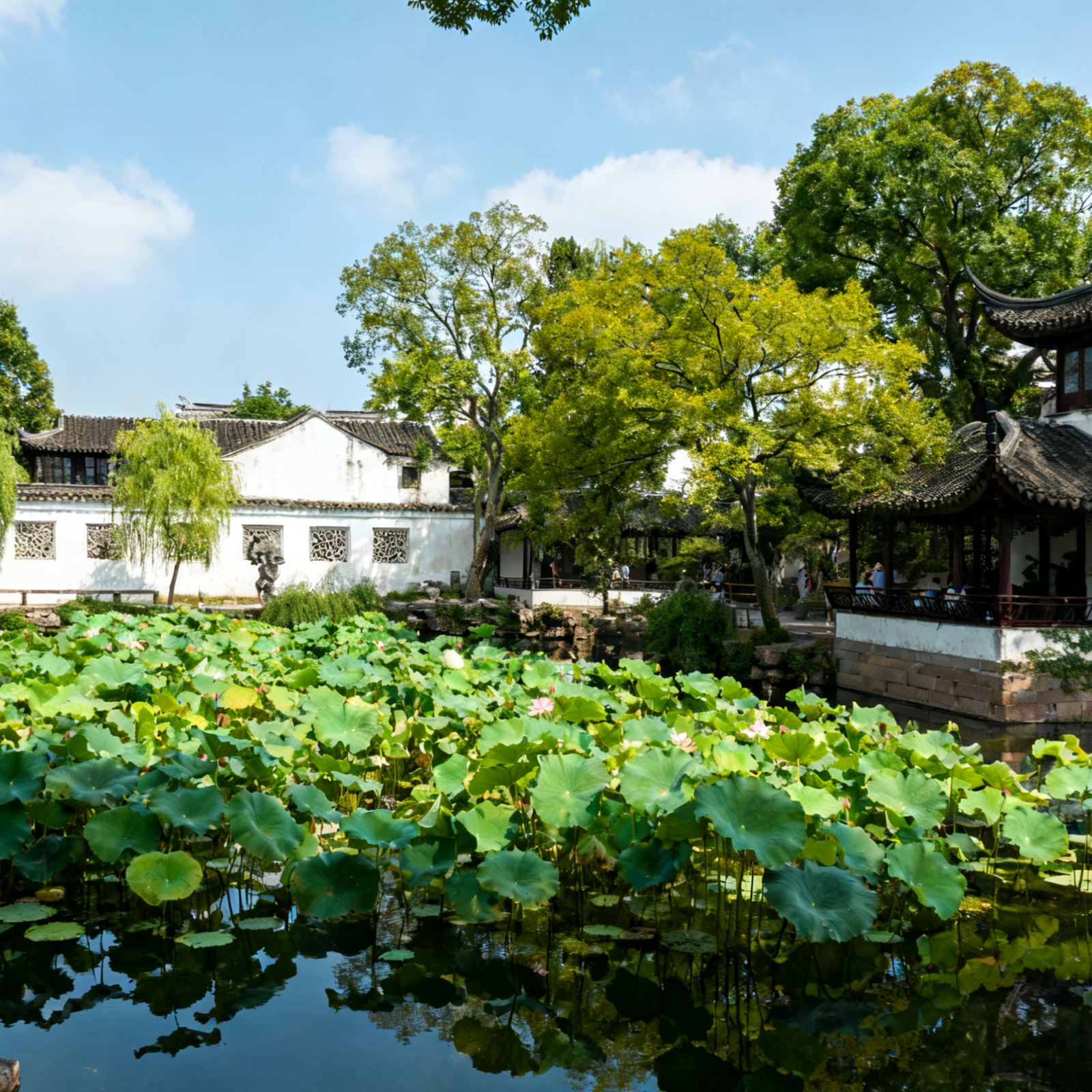 Suzhou Gardens Overview